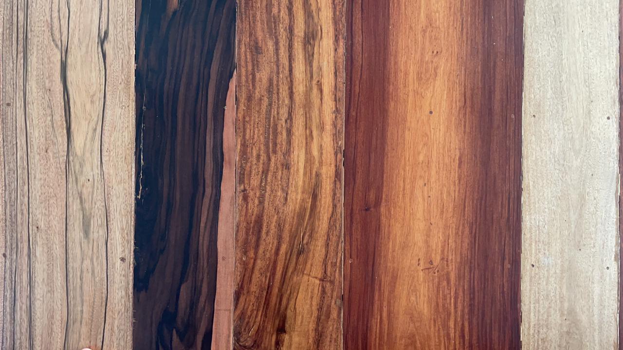 Timber Plantation Development